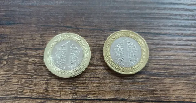 Nerede yedin paraları, söyle!