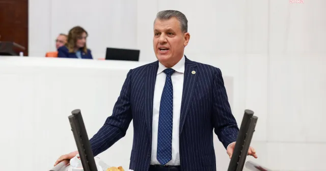 CHP'li Ayhan Barut: "Ormanlara kıymayın efendiler"
