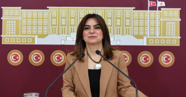 DEM Parti'den HSK çıkışı: "Meşru görmediğimiz için HSK üye seçimine katılmıyoruz"