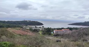 Heybeliada  Çam Limanı (Meryem Ana Limanı) nasıl “milli bir mesele” oldu?