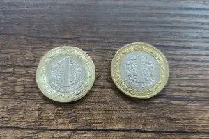 Nerede yedin paraları, söyle!