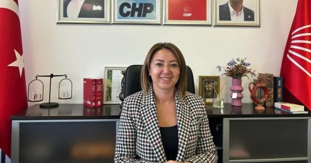 Gül Çiftçi Binici'den yargı paketi eleştirisi
