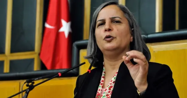 Gültan Kışanak: "Kürt sorunu, iç politika malzemesi yapılamayacak kadar vebali ağır bir sorun"