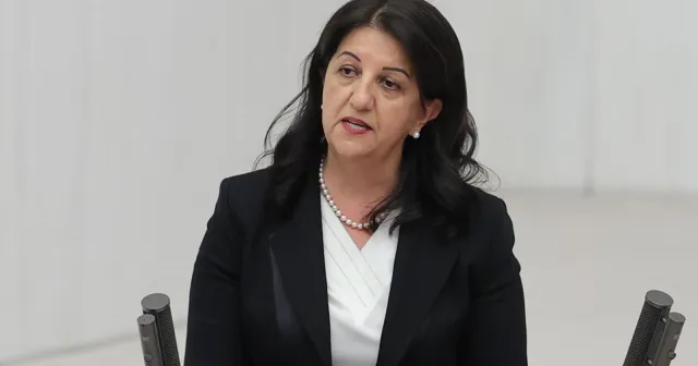 Pervin Buldan siyaseti bırakacağını açıkladı