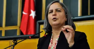 Gültan Kışanak: "Kürt sorunu, iç politika malzemesi yapılamayacak kadar vebali ağır bir sorun"