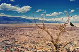 Deprem ve kuraklık bir arada: Tarımsal üretim alarm veriyor