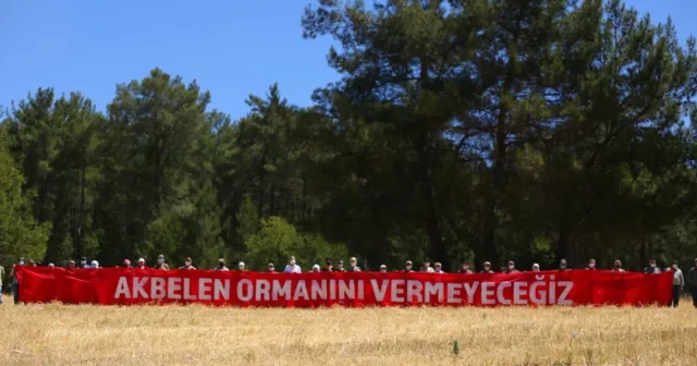 Keyfi siyasetin gücü: Politik manevra sahası olarak Akbelen Ormanı