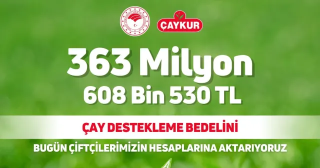 Çay üreticilerine 363,6 milyon lira destek ödemesi bugün yapılacak