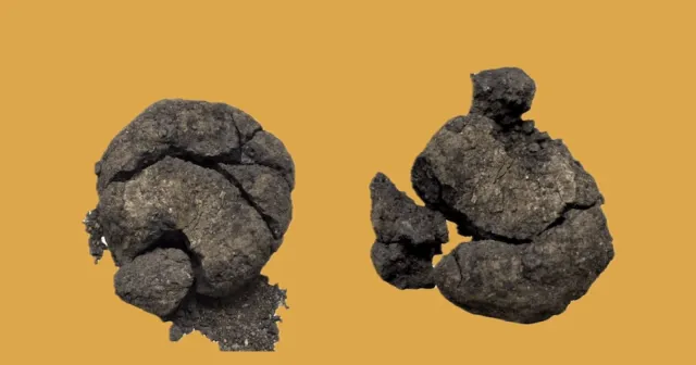 Çatalhöyük’te 8.600 yıllık "ekmek" kalıntısı bulundu