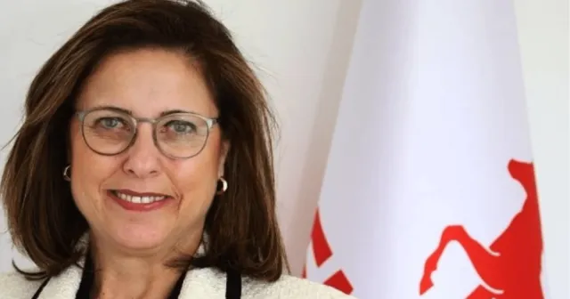 İlay Aksoy, Demokrat Parti Genel Başkan Yardımcılığından istifa etti