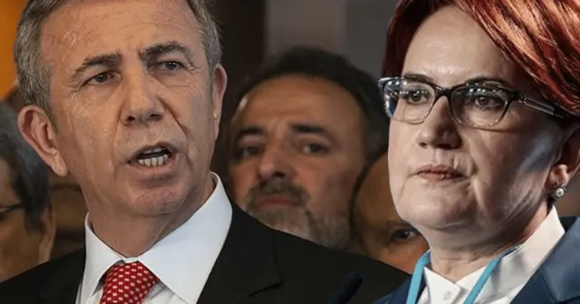 Meral Akşener: "Kurt kışı geçirir ama yediği ayazı asla unutmaz"