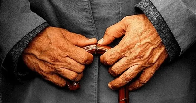 Türkiye Yaşlı Profili Araştırması: En yaşlı il Sinop, en genç il Şırnak