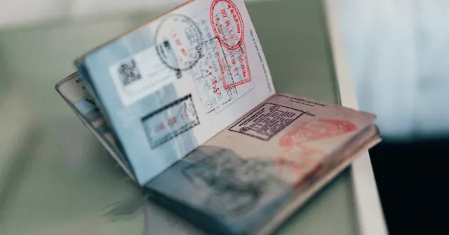 Pasaport yasakları ve ifade özgürlüğü