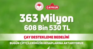 Çay üreticilerine 363,6 milyon lira destek ödemesi bugün yapılacak