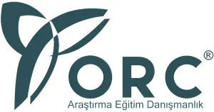 ORC Araştırma anketi: Ankara ve İstanbul'da hangi aday önde?