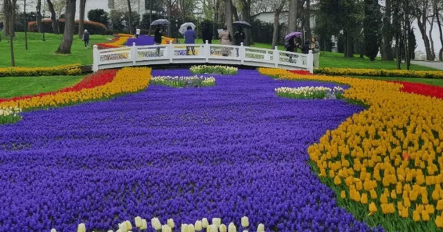 İstanbul Lale Bayramı başlıyor