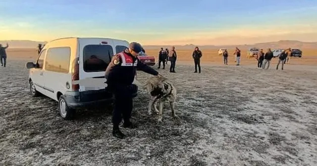 Kırklareli'nde köpek dövüştüren 34 kişiye para cezası
