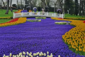 İstanbul Lale Bayramı başlıyor
