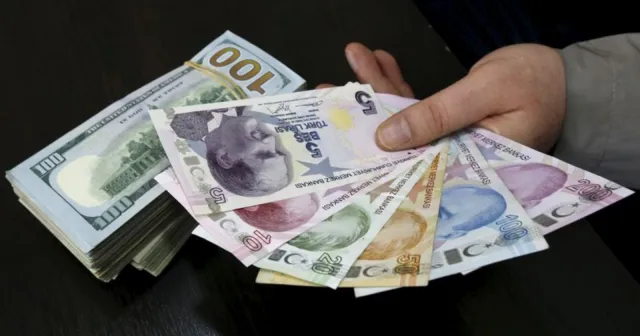 Dolardan TL'ye geçişin nedenleri ve sonuçları üzerine