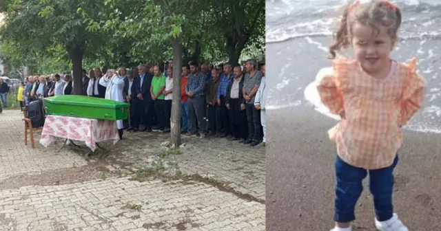 5 yaşındaki çocuk, böcek ısırığı nedeniyle hayatını kaybetti