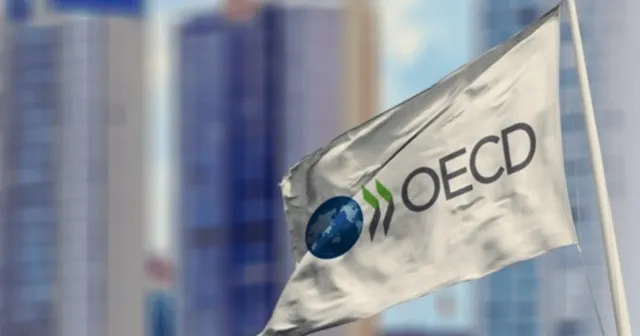 OECD, Türkiye için büyüme tahminini yükseltti