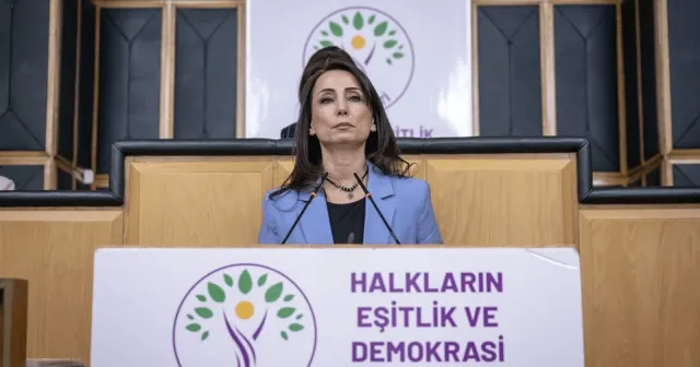 Hatimoğulları: Normalleşme dediğiniz, Kürtsüz bir normalleşmedir