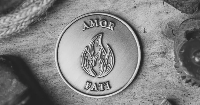 Nietzsche Ağladığında veya amor fati (yazgını sev)
