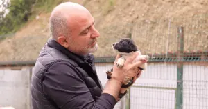 Hopa Belediyesi 'kısırlaştırma' seferberliğine başladı