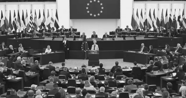 Avrupa Parlamentosu seçimleri faciası… 
