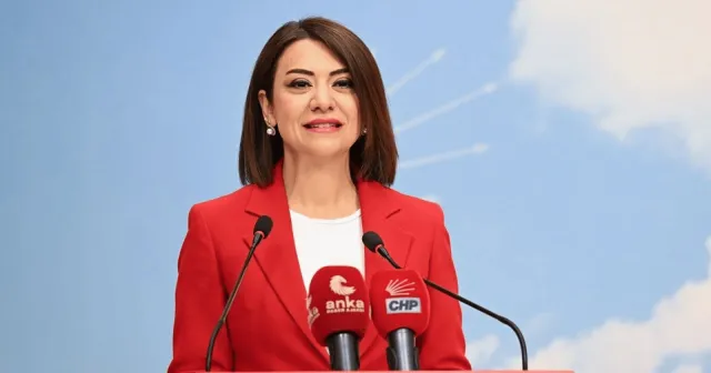 Gamze Taşcıer: "6,5 milyon asgari ücretli için ses olacağız"
