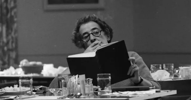 Hannah Arendt felsefesine karşı