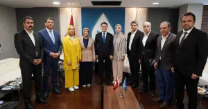 Ayşe Ateş, DEVA Partisi lideri Ali Babacan ile görüştü
