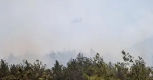 İzmir'de orman yangını: TSK helikopterleri bölgeye gönderildi