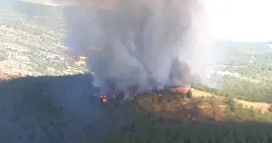 Çanakkale'de orman yangını