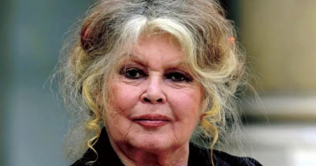 Brigitte Bardot, sokak hayvanları için Erdoğan'a mektup yazdı