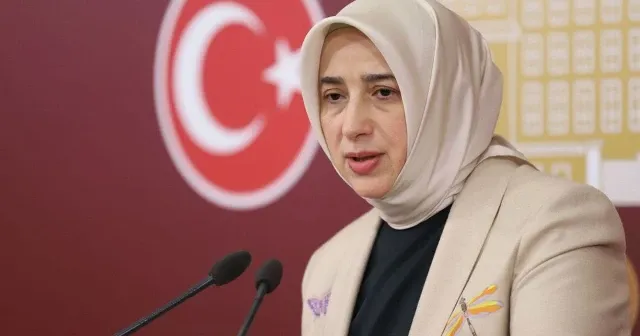 AK Partili Özlem Zengin: Dilruba Kayserilioğlu tutuksuz yargılansın