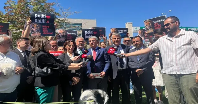 CHP, sokak hayvanları yasasını AYM'ye götürdü