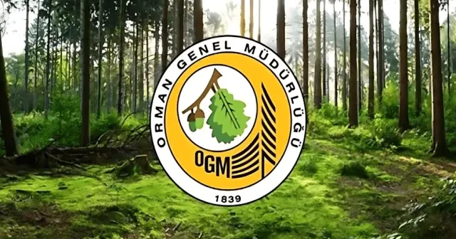 Orman Genel Müdürlüğü, 'Güvercinlik Koyu'na ilişkin açıklama yaptı