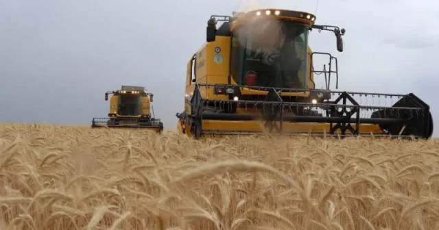 Tarımsal girdi fiyat endeksi yüzde 47,56 arttı
