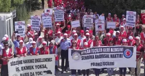 Bakanlıktan Polonez işçilerini işten çıkaran firmaya 2 milyon lira ceza