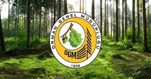 Orman Genel Müdürlüğü, 'Güvercinlik Koyu'na ilişkin açıklama yaptı