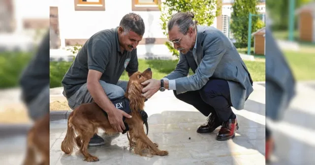 Erdal Beşikçioğlu 5 sokak köpeği belediyede görevlendirildi