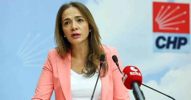 Gamze Akkuş İlgezdi: AKP iktidarı, kadına yönelik şiddeti meşrulaştırıyor