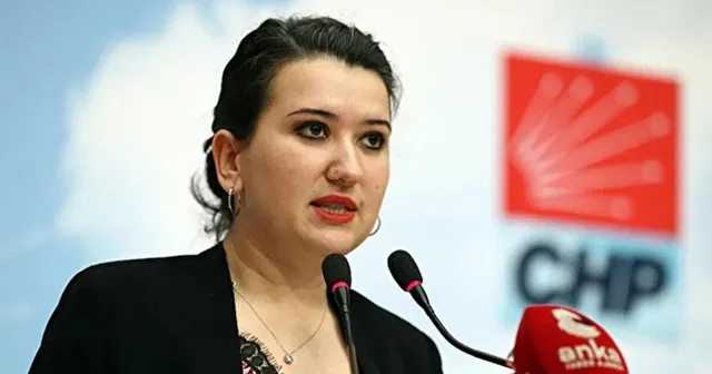 Gökçe Gökçen: Anayasa’nın ilk dört maddesine dokunulacak hiçbir masada yokuz