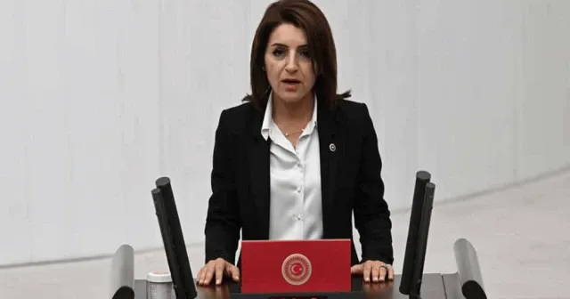 Gülcan Kış: "Kadın cinayetlerinin önünü açan bireysel silahlanmayı önlemek için planınız var mı?"