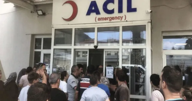 Hopa'da ağaç kesimini engellemek isteyen köylülere ateş açıldı