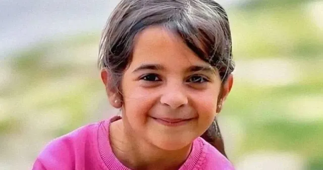 Narin'i arama çalışmalarının sahte ihbarlarla engellenmek istendiği ortaya çıktı