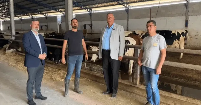 Ömer Fethi Gürer: TÜİK'e göre 4 yılda ithalata rağmen yaklaşık 2 milyon civarında sığır varlığı eridi