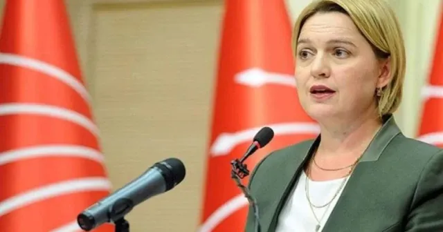 Selin Sayek Böke'den tüzük açıklaması: Kural neyse ona uyarız