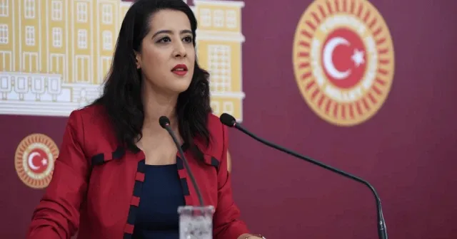 Sevda Karaca, Bakan Tekin için tek soruluk önerge verdi
